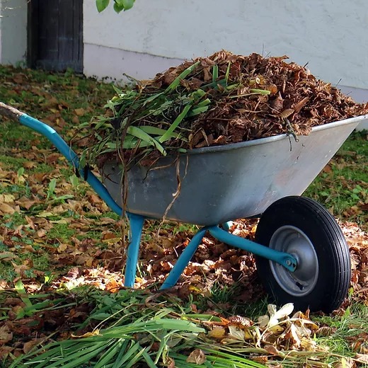 seasonal yard maintenance