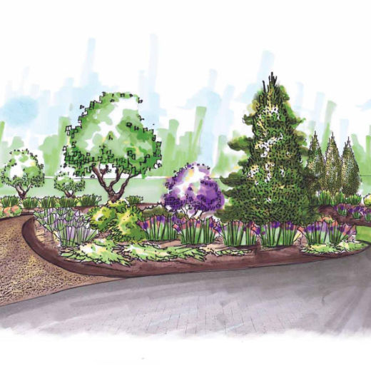backyard design sketch