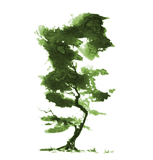 watercolor tree