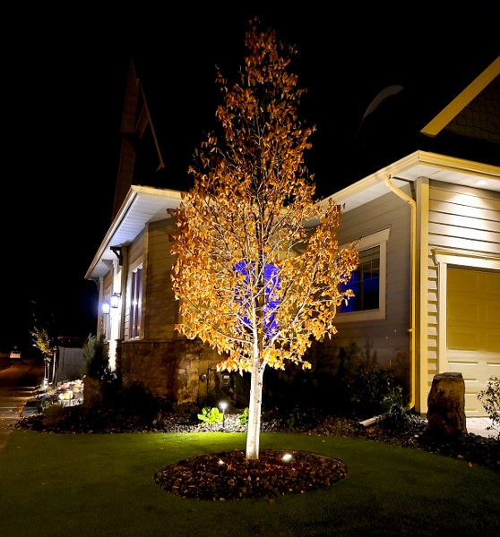 lighting_accent lighting